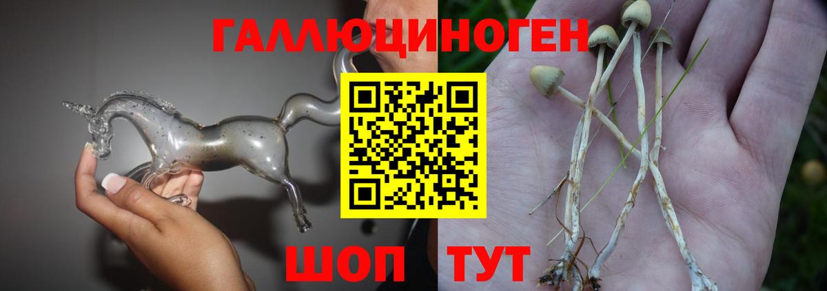 Галлюциногенные грибы Cubensis Мценск