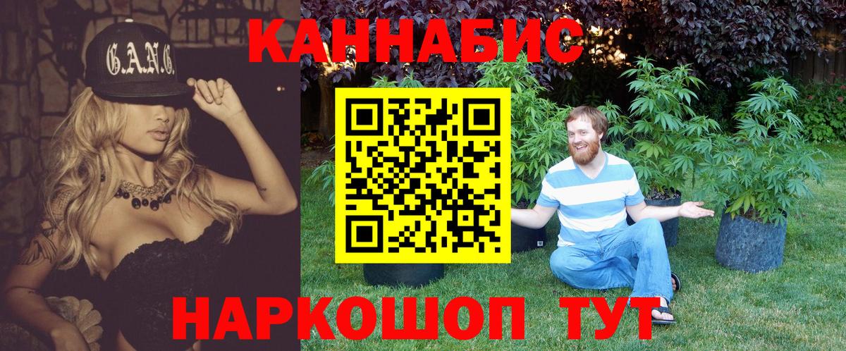 Шишки марихуана планчик  Вход с VPN  Мценск  Бошки Шишки OG Kush 